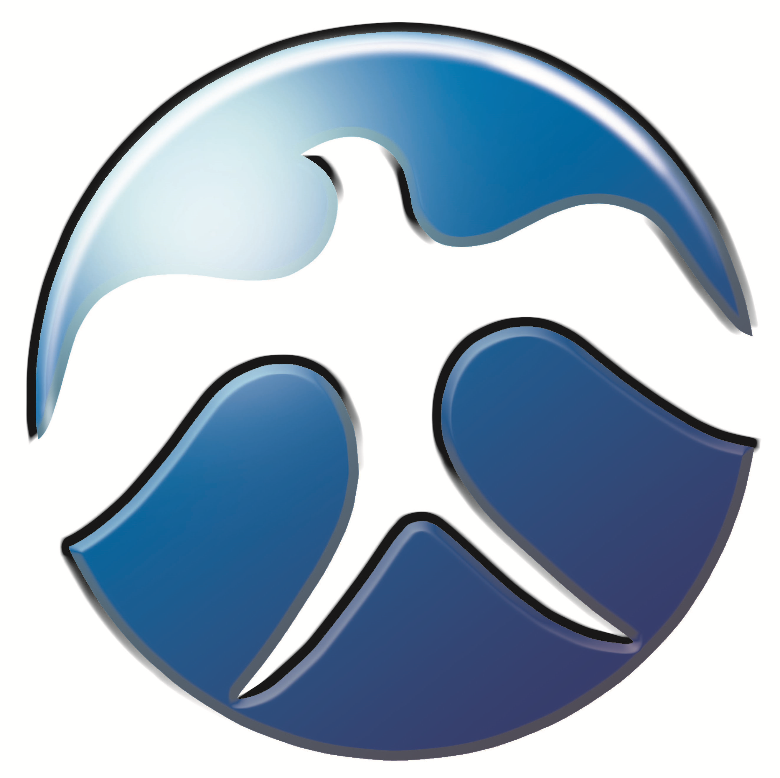 IIS